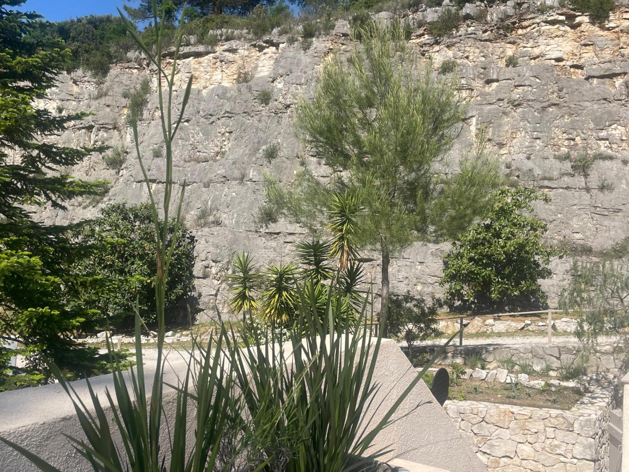 La Villa Des Carriers- Maison Avec Piscine Proche Mer Roquefort-les-Pins Extérieur photo